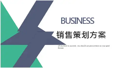 知识付费项目营销策划PPT范文