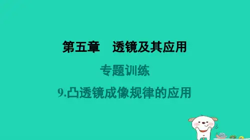 山西省2024八年级物理上册第五章透镜及其应用专题训练9.凸透镜成像规律的应用课件新版新人教版