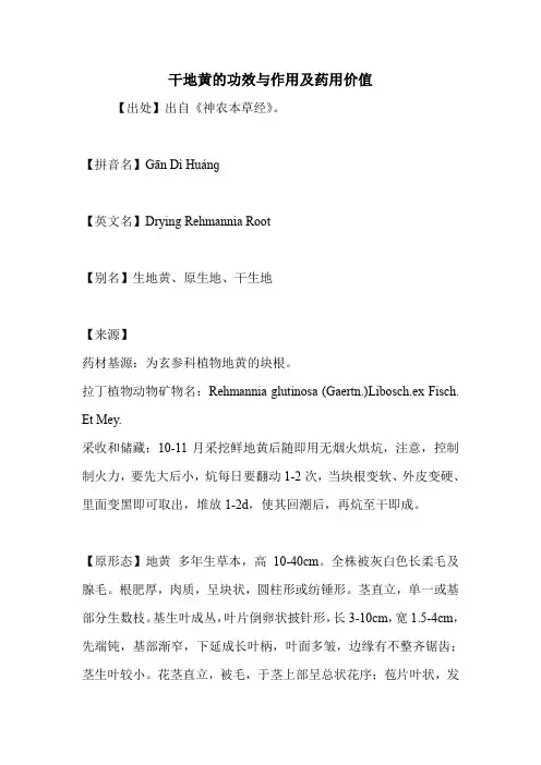 干地黄的功效与作用及药用价值