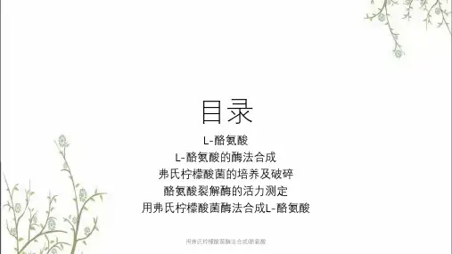 用弗氏柠檬酸菌酶法合成l酪氨酸