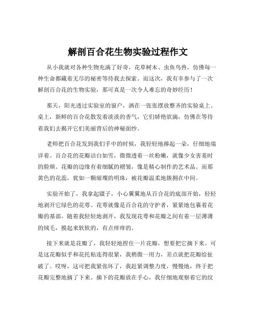 解剖百合花生物实验过程作文
