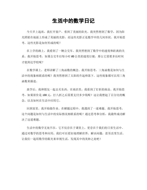 生活中的数学日记