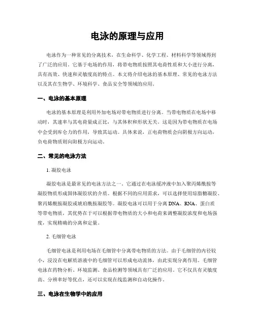 电泳的原理与应用