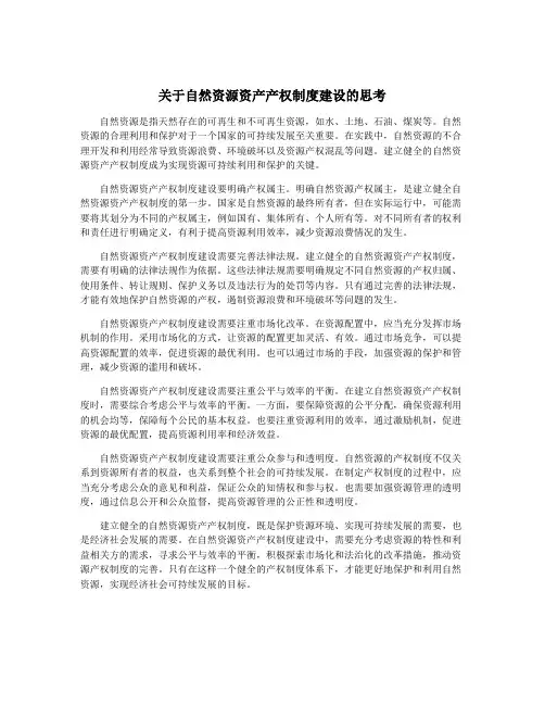 关于自然资源资产产权制度建设的思考