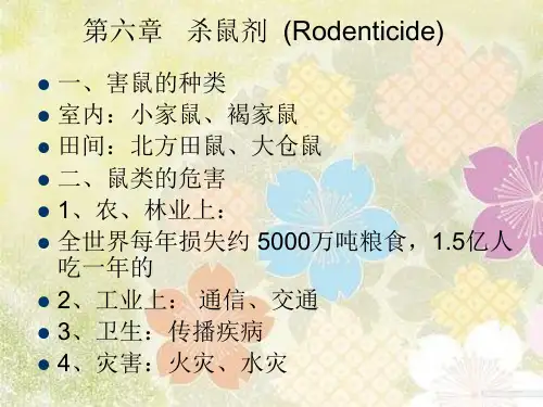 PPT教学课件杀鼠剂