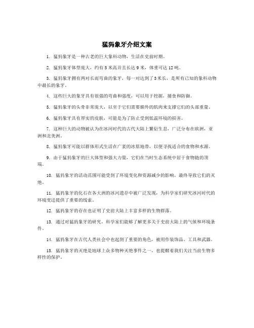 猛犸象牙介绍文案