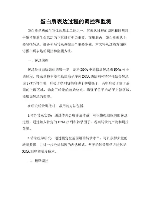蛋白质表达过程的调控和监测