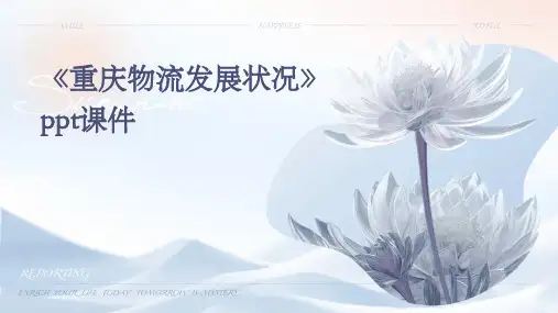 《重庆物流发展状况》课件