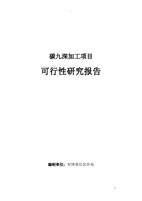 碳九深加工项目可行性研究报告