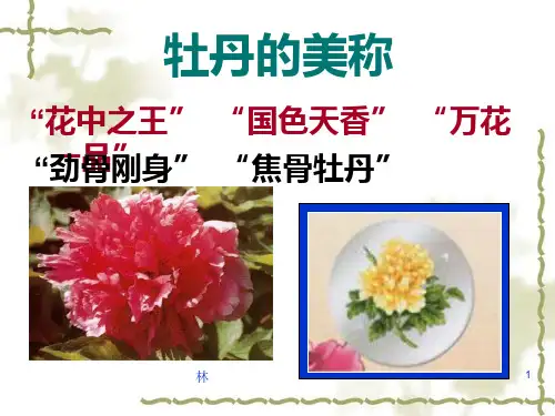 1《牡丹的拒绝》课件18张语文版中职语文职业模块服务类