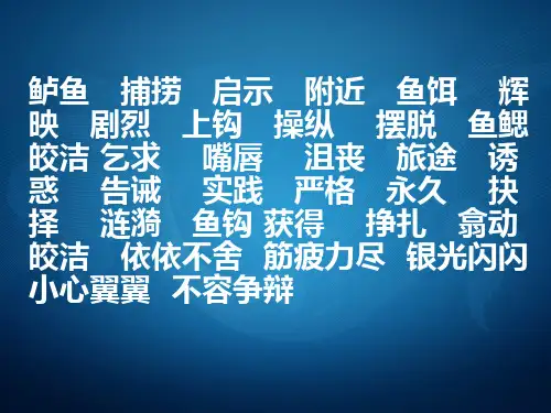 钓鱼的启示MicrosoftPowerPoint演示文稿