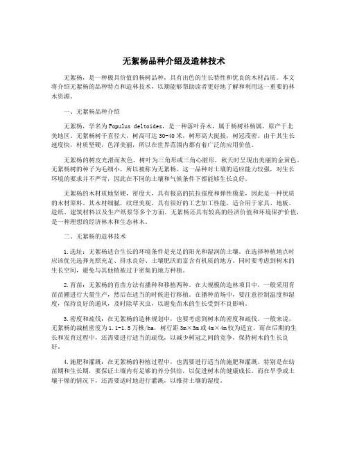 无絮杨品种介绍及造林技术