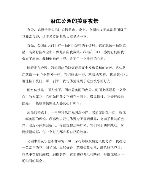 小学三年级作文这儿真美范文沿江公园的美丽夜景