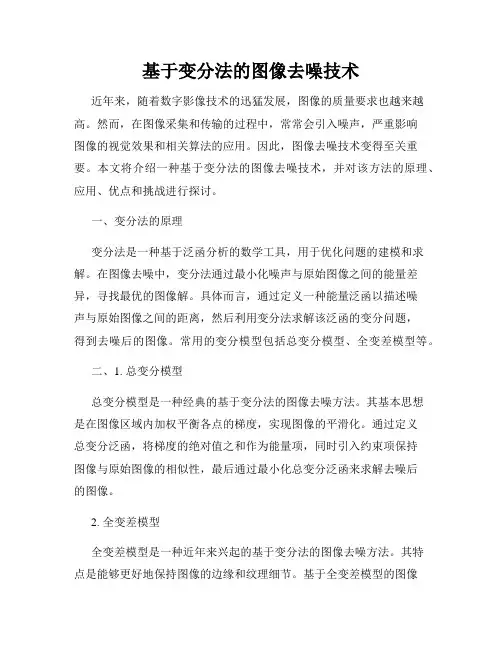 基于变分法的图像去噪技术