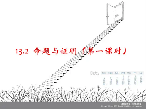 13.2命题与证明(1)