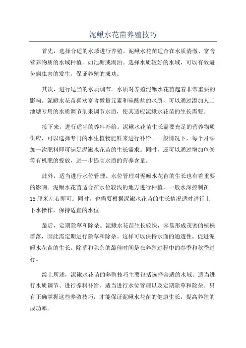 泥鳅水花苗养殖技巧