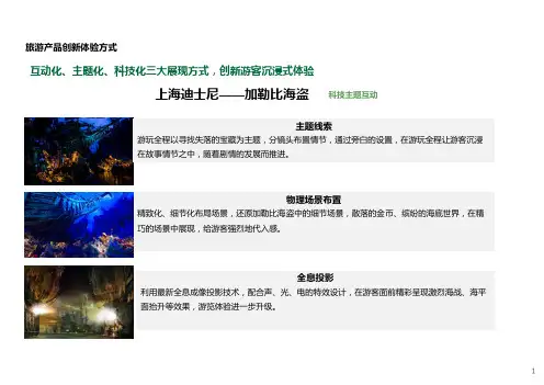 上海迪士尼加勒比海盗项目案例分析