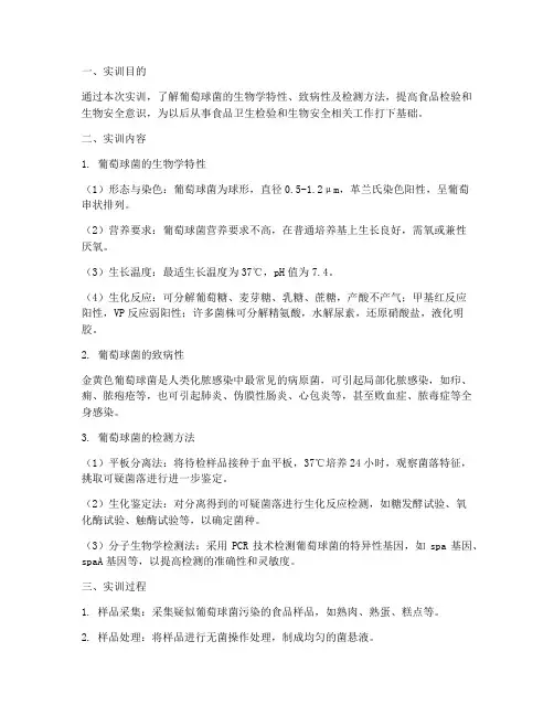 葡萄球菌实训报告