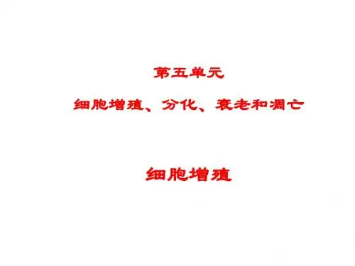江苏省赣榆县厉庄高级中学高三生物专题复习课件：细胞增殖
