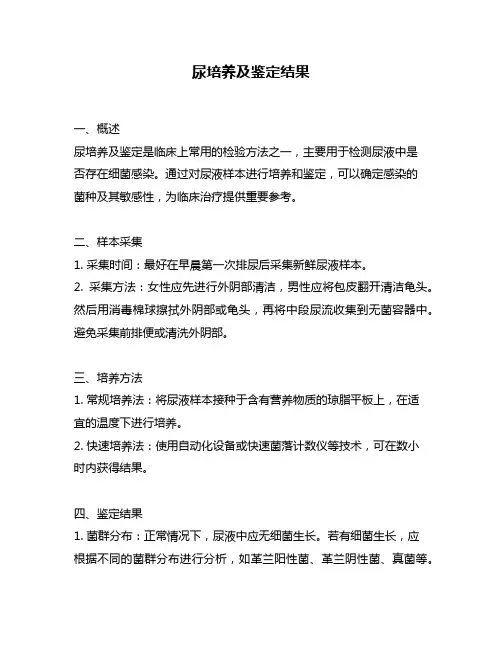 尿培养及鉴定结果