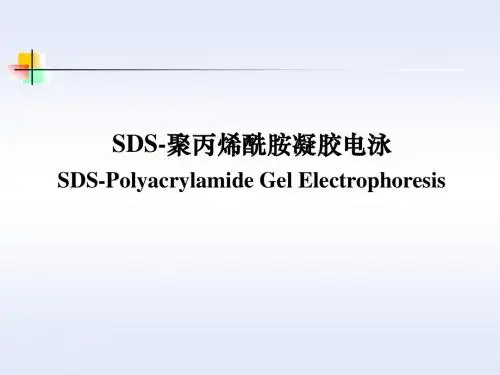SDS-PAGE