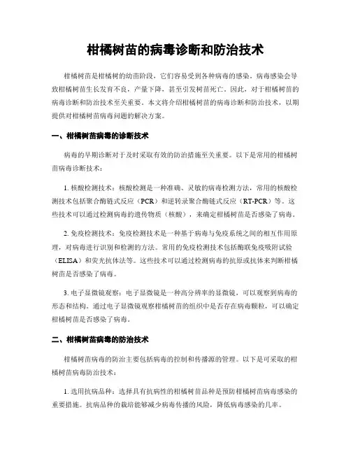 柑橘树苗的病毒诊断和防治技术