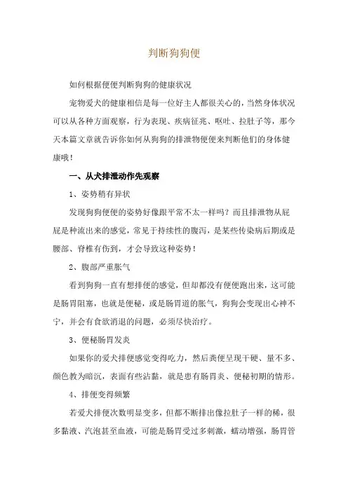 判断狗狗便