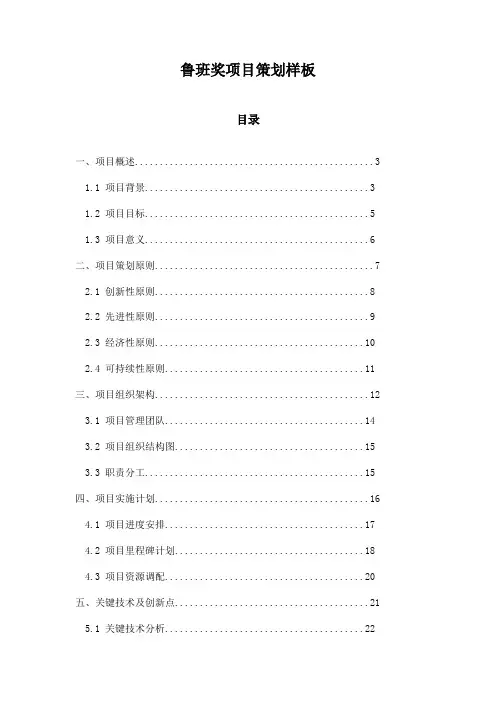 鲁班奖项目策划样板