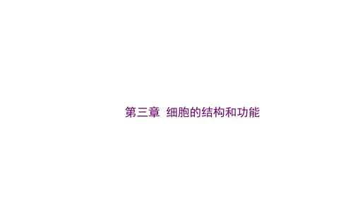 苏教版高中生物必修一课件第三章 细胞的结构和功能29张PPT