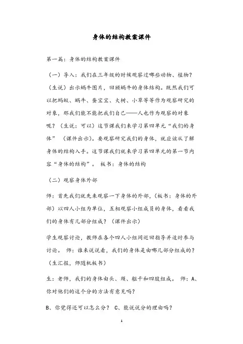 身体的结构教案课件
