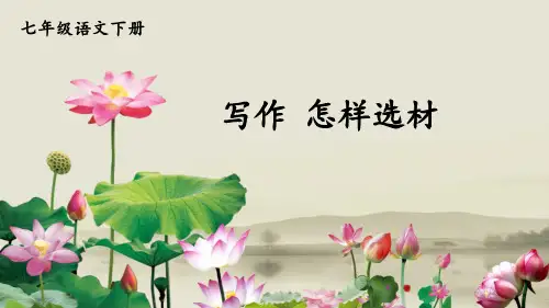 七年级语文部编版下册第四单元写作《怎样选材》课件(共32张PPT)