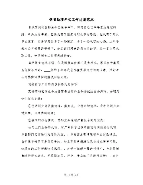 销售助理年初工作计划范本(8篇)