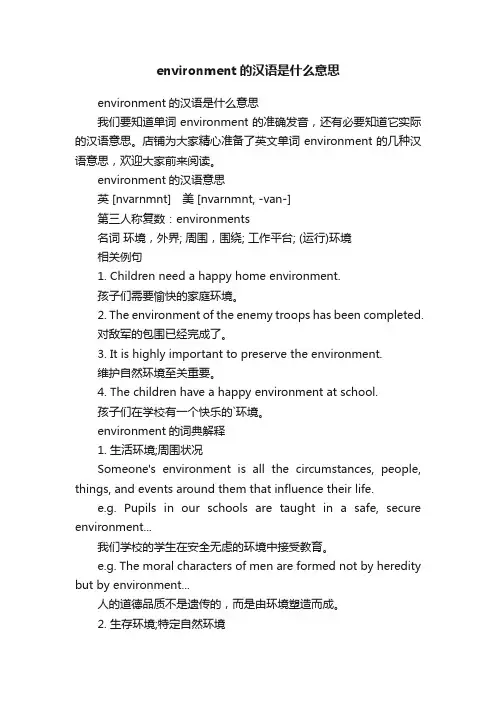 environment的汉语是什么意思