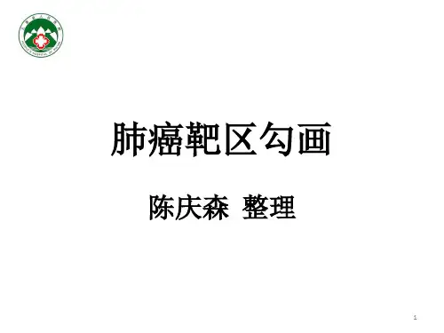 肺癌靶区勾画参考幻灯片