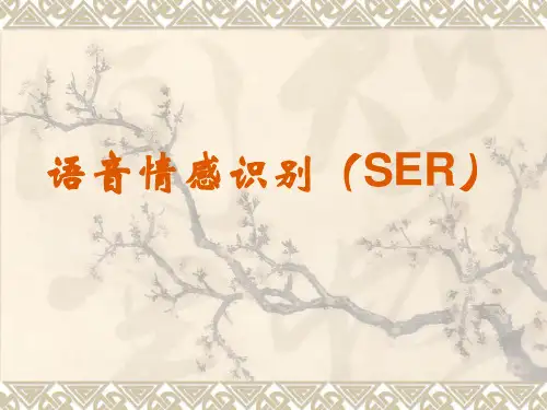 语音情感识别讲解
