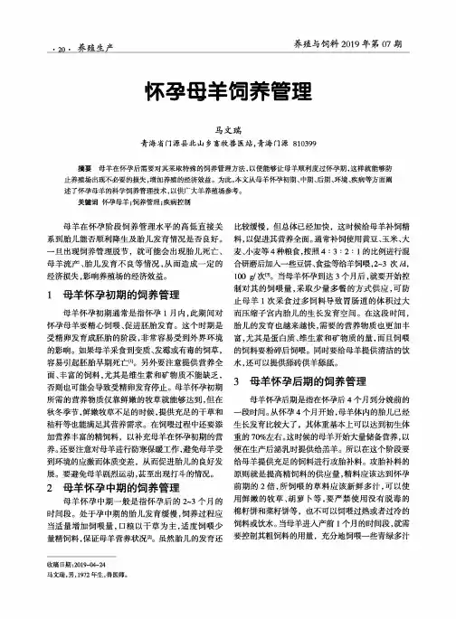 怀孕母羊饲养管理