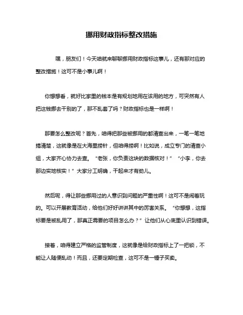 挪用财政指标整改措施