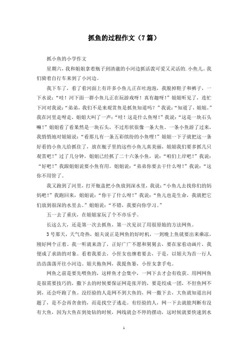 抓鱼的过程作文(7篇)