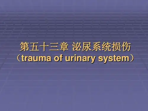 泌尿系统损伤课件