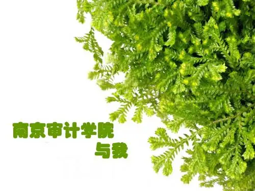 南审与我