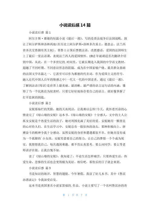 小说读后感14篇