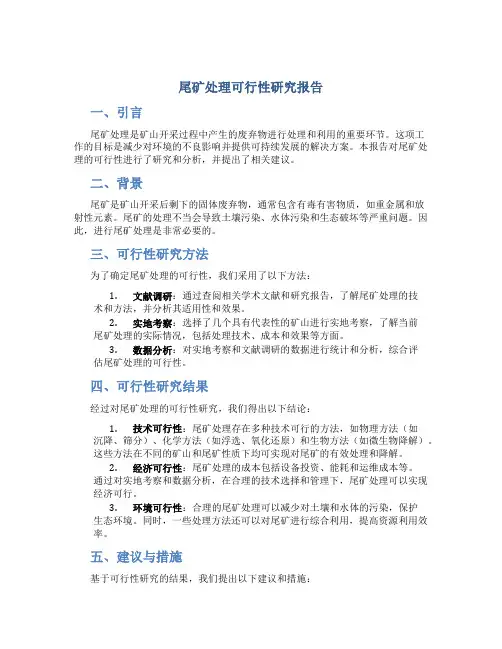 尾矿处理可行性研究报告