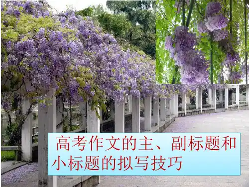高考作文正标题副标题和小标题的拟写技巧(课堂PPT)