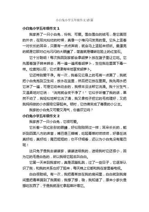 小白兔小学五年级作文15篇