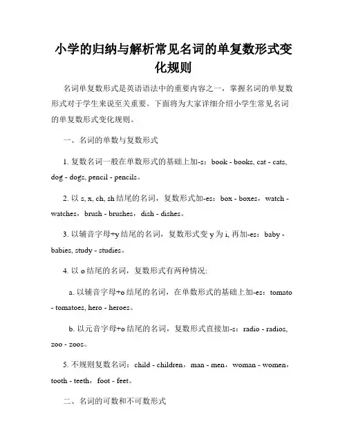 小学的归纳与解析常见名词的单复数形式变化规则