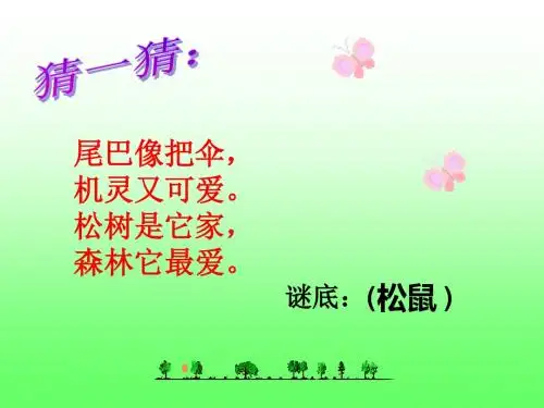 10、《松鼠与松果》