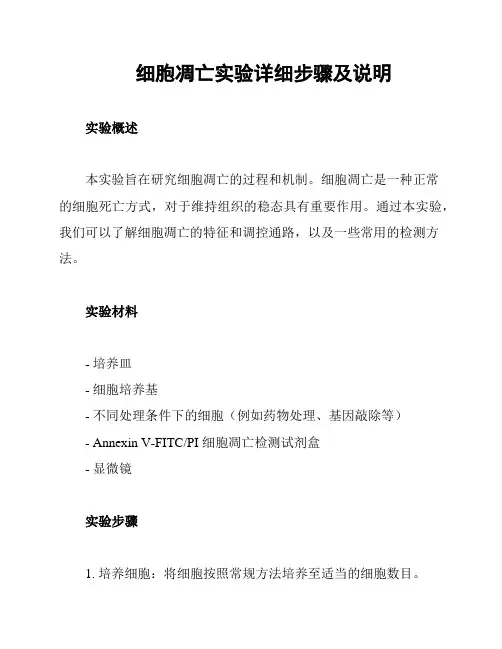 细胞凋亡实验详细步骤及说明