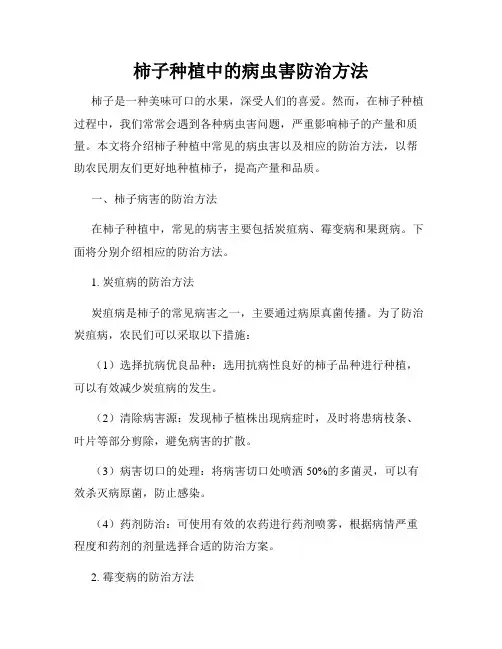 柿子种植中的病虫害防治方法