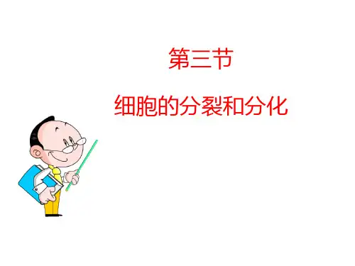 第三节 细胞分裂与分化  课件  2021-2022学年苏教版七年级生物上册