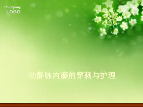 动静脉内瘘的穿刺与护理